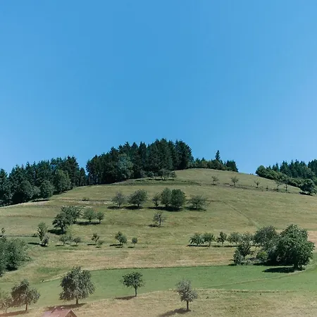 Moderne 3 Zi.-fewo Scandi Style 70 Qm Naehe Freiburg * Simonswald